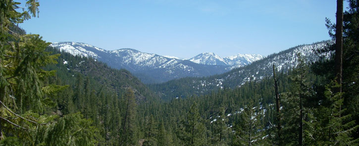 near Scott Mountain Pass, Hwy 3, CA. Photo by Diane Higgins