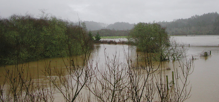Freshwater Creek, flooded. Winter, 2006.
